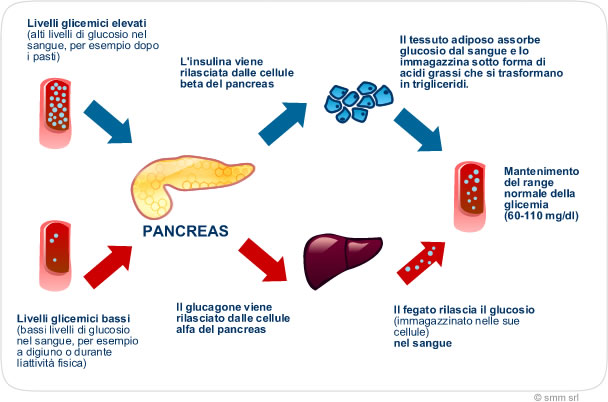 Glucagon