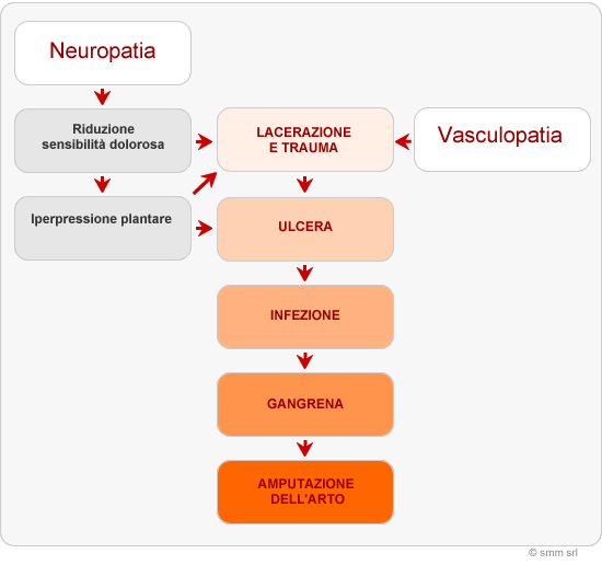 neuroDiabetica