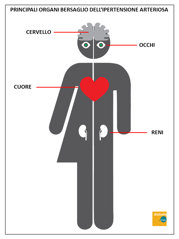 principali organi bersagio dell' pressione arteriosa
