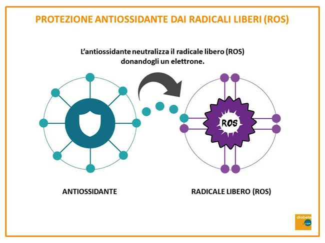 protezione antiossidante dei radicali liberi