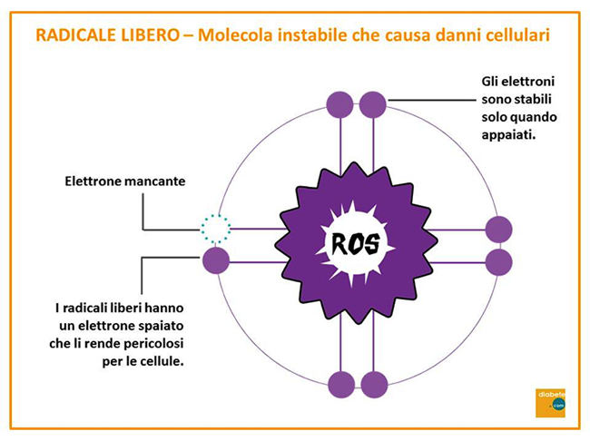 Radicale libero - Molecola instabile che causa danni cellulari