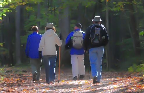 Principali motivi di scarsa adesione al trattamento antidiabetico