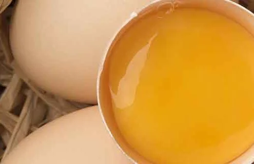UUova e Salute: Alleate o Alimento da Evitare? - Diabete.com