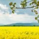 La nutrizione molecolare: nella pratica di cosa si tratta? - Diabete.com