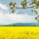 La nutrizione molecolare: nella pratica di cosa si tratta? - Diabete.com