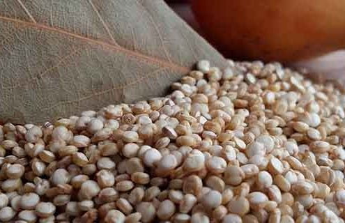 Pseudocereali