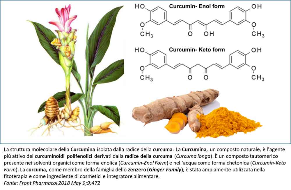 Struttura molecolare della Curcumina