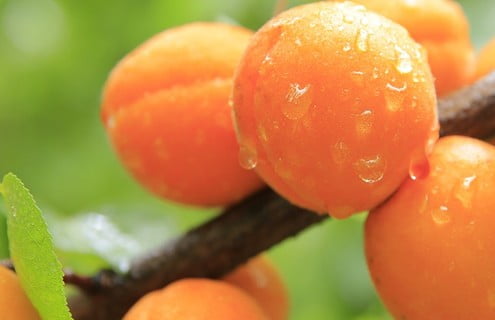 Diabete.com - Elenco frutta per diabetici tipo 2 e glicemia alta