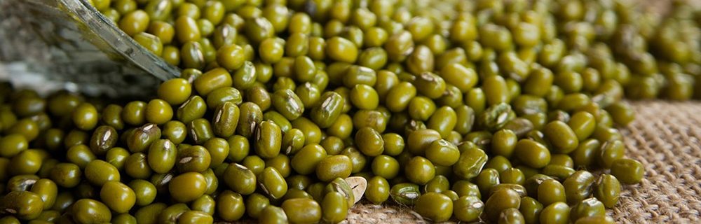 legumi e diabete: approfondimenti e consigli