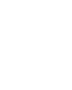 logo_bruno