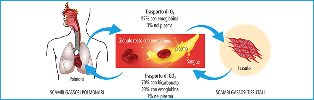speciale emoglobina glicata-1