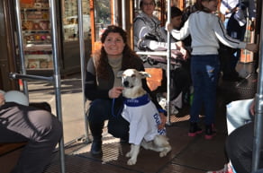 Daniela-Cardillo-Greendogs-3