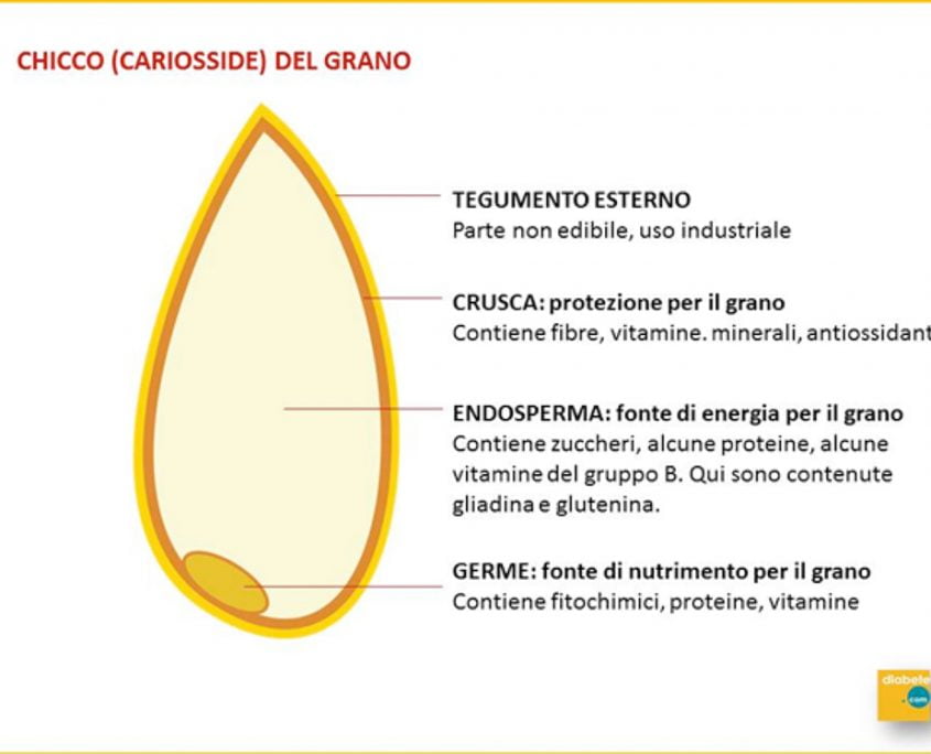 Cereali Integrali vs. Cereali Raffinati: Elenco e Differenze - Diabete.com