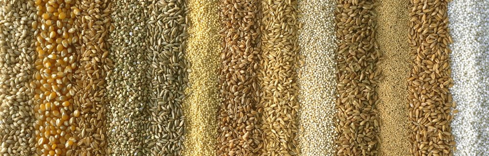 Cereali Integrali vs. Cereali Raffinati: Elenco e Differenze - Diabete.com