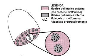 metformina-a-lento-rilascio-rimborsabile-legenda