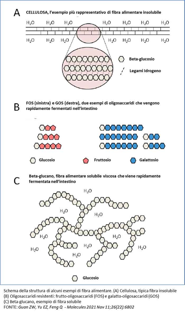 cellulosa, fibra alimentare