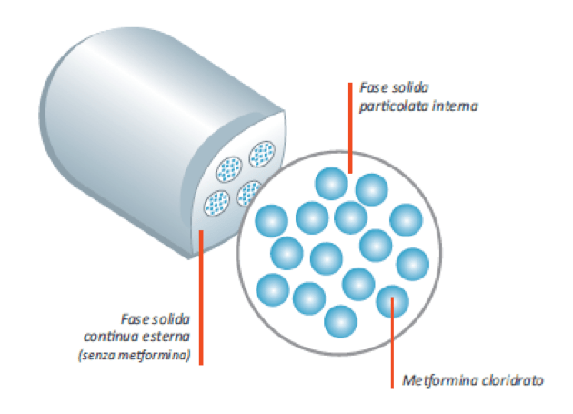 compressa-di-metformina-a-lento-rilascio