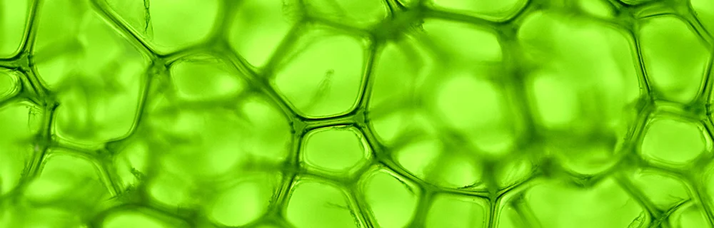 Diabete.com - Quando è indicata la metformina a lento rilascio?