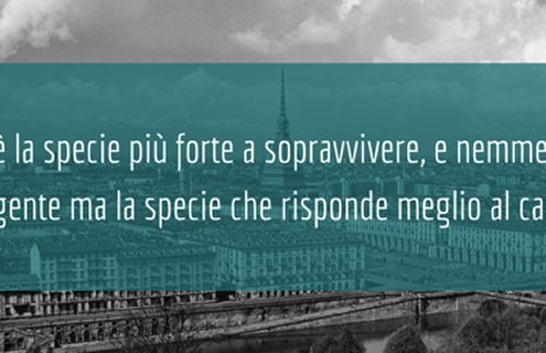 Piemonte: la nuova Rete Territoriale Endocrino-Diabetologica