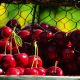Ciliegie: seducenti, gustose e …. ricche di antiossidanti