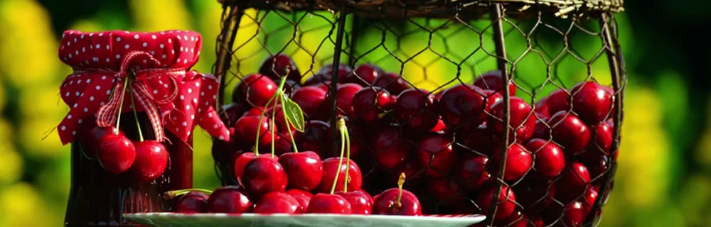 Ciliegie: seducenti, gustose e …. ricche di antiossidanti