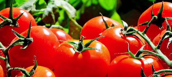 Pomodoro, il re dell’estate è ricco di licopene