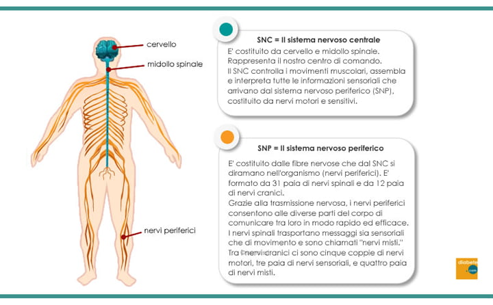 Neuropatia diabetica: tutto quello che serve sapere - ultimo position statement ADA