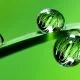 Diabete di tipo 2, obesità e incontinenza urinaria