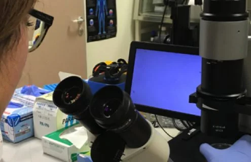 La ricerca sul diabete di tipo 1 al Centro di Eccellenza Romeo ed Enrica Invernizzi