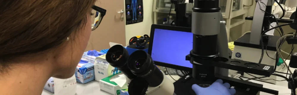 La ricerca sul diabete di tipo 1 al Centro di Eccellenza Romeo ed Enrica Invernizzi
