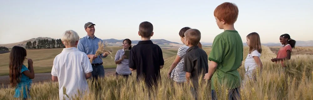 Siedp: campi scuola 2020 da rimandare a nuove disposizioni