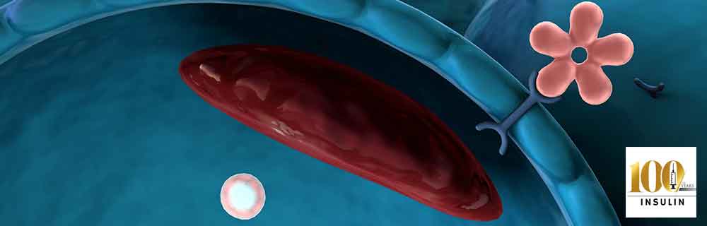 100 anni di insulina - diabete-481926190