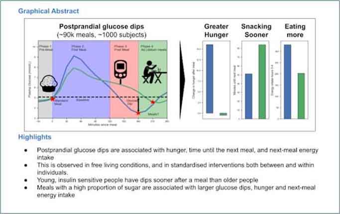 Monitoraggio glucosio: efficace nel descrivere il nostro appetito - Diabete.com