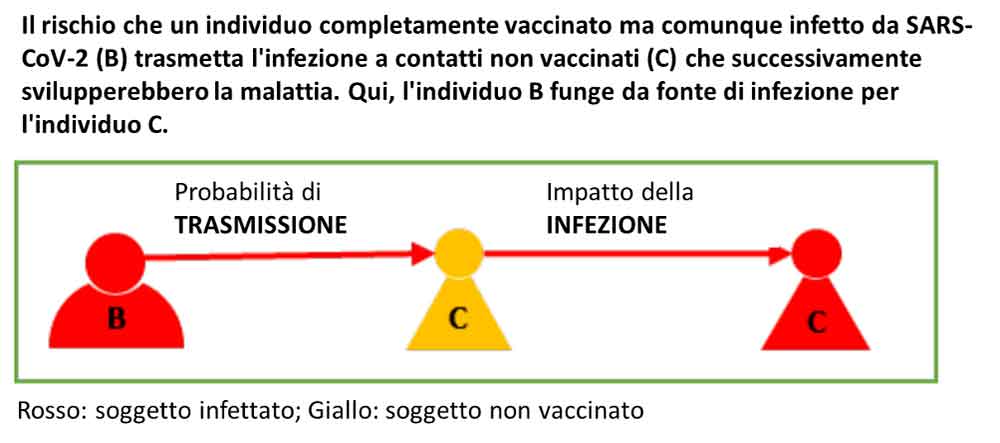 Covid19: distanziamento e mascherine per i vaccinati. Le nuove indicazioni ECDC