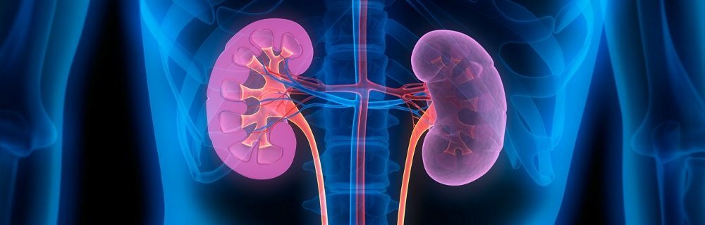 Diabete e rene: quali novità dall’ADA 2021?