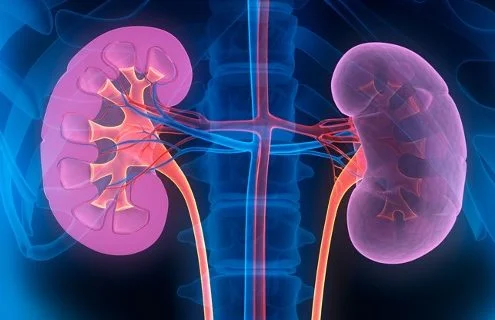 Diabete e rene: quali novità dall’ADA 2021?