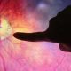 Prevenzione e la cura della Retinopatia Diabetica: Meteda investe nell’intelligenza artificiale applicata all’oftalmologia