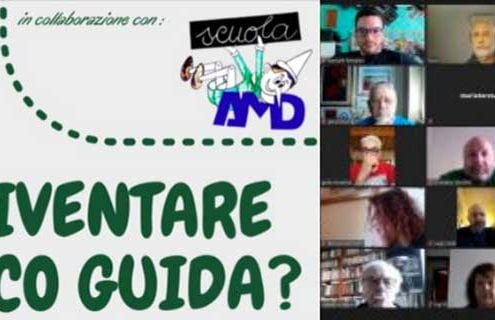 Hai il diabete da almeno 5 anni? Vuoi diventare un “diabetico guida”?