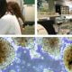 Terapia cellulare: come tratteremo il diabete tipo 1