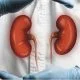Reni: 8 regole per mantenerli in buona salute