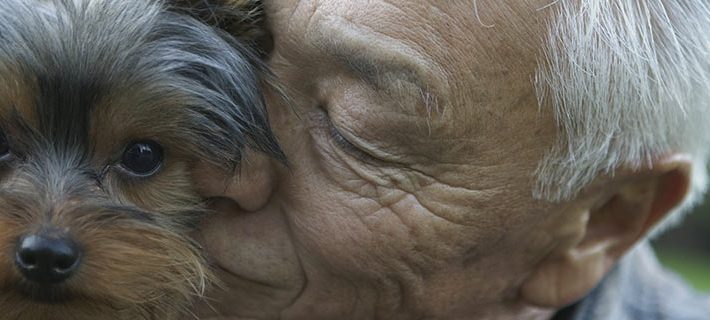 Festa dei Nonni ’23: adottare un cucciolo può far bene alla salute