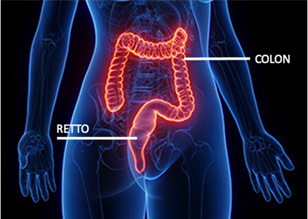 Retto e colon
