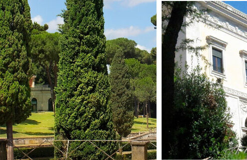 Stati Generali sul Diabete 2026: “Diabete ed ecosistemi”