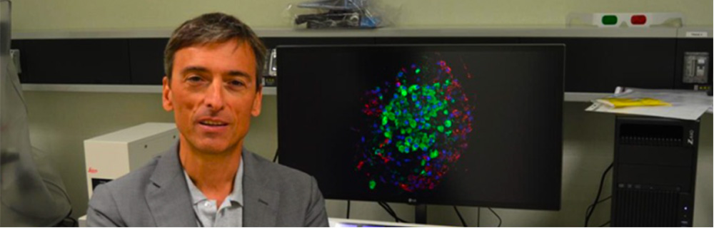 Diabete di tipo 1: oggi è possibile ritardare l’esordio della malattia